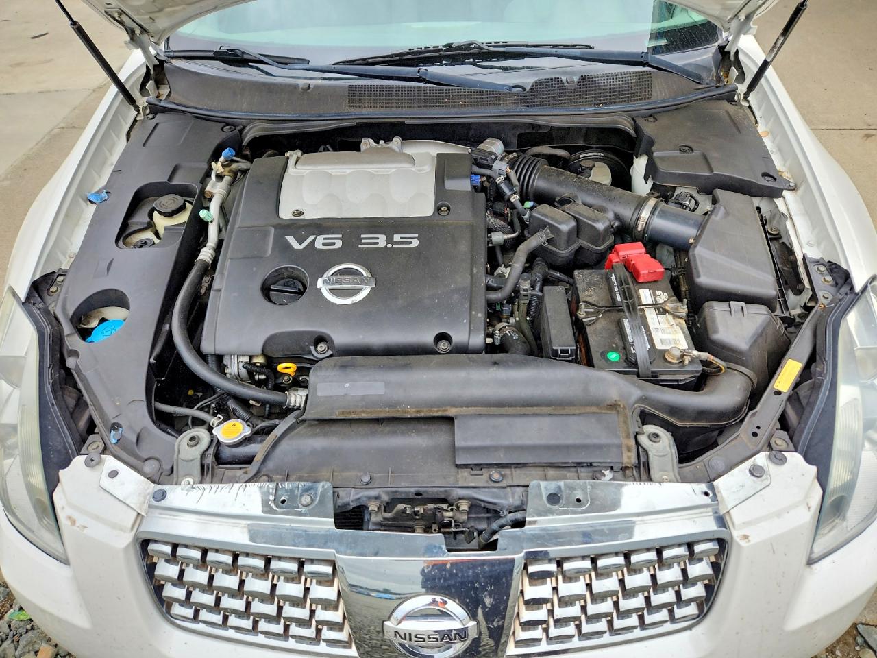 2004 NISSAN Maxima VIN 1N4BA41E94C923899 photo 11