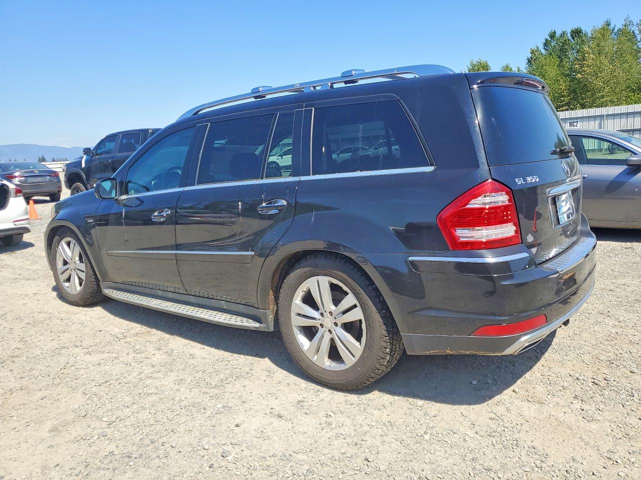 2010 Mercedes-Benz Gl-class VIN 4JGBF2FE8AA548728 photo 2