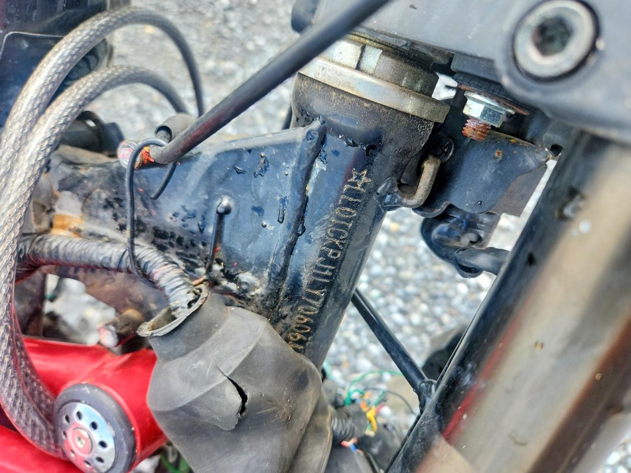 2020 Scooter VIN LL0TCKPJ1LY706064 photo 8
