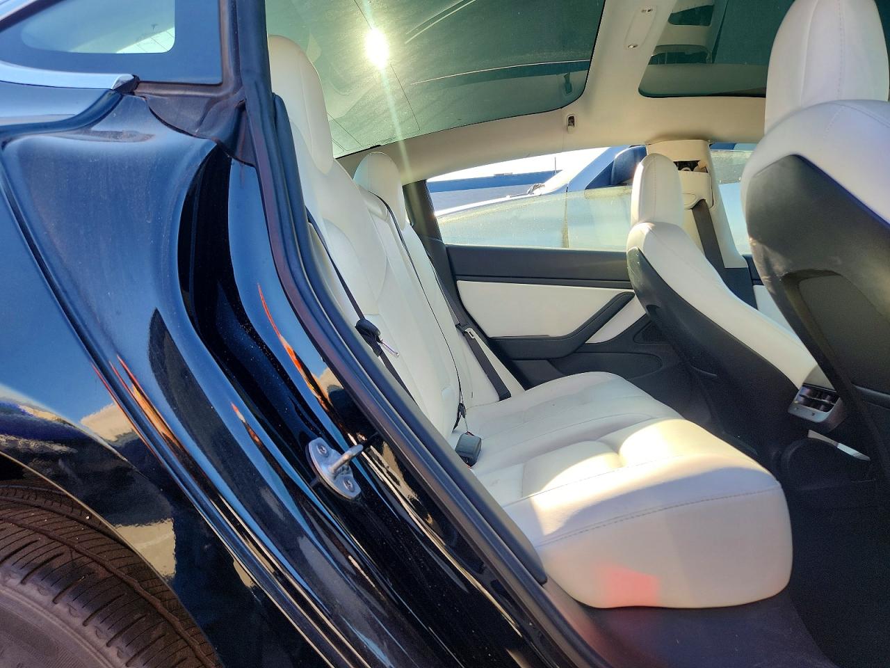 2019 Model 3 VIN 5YJ3E1EB8KF391577 photo 10