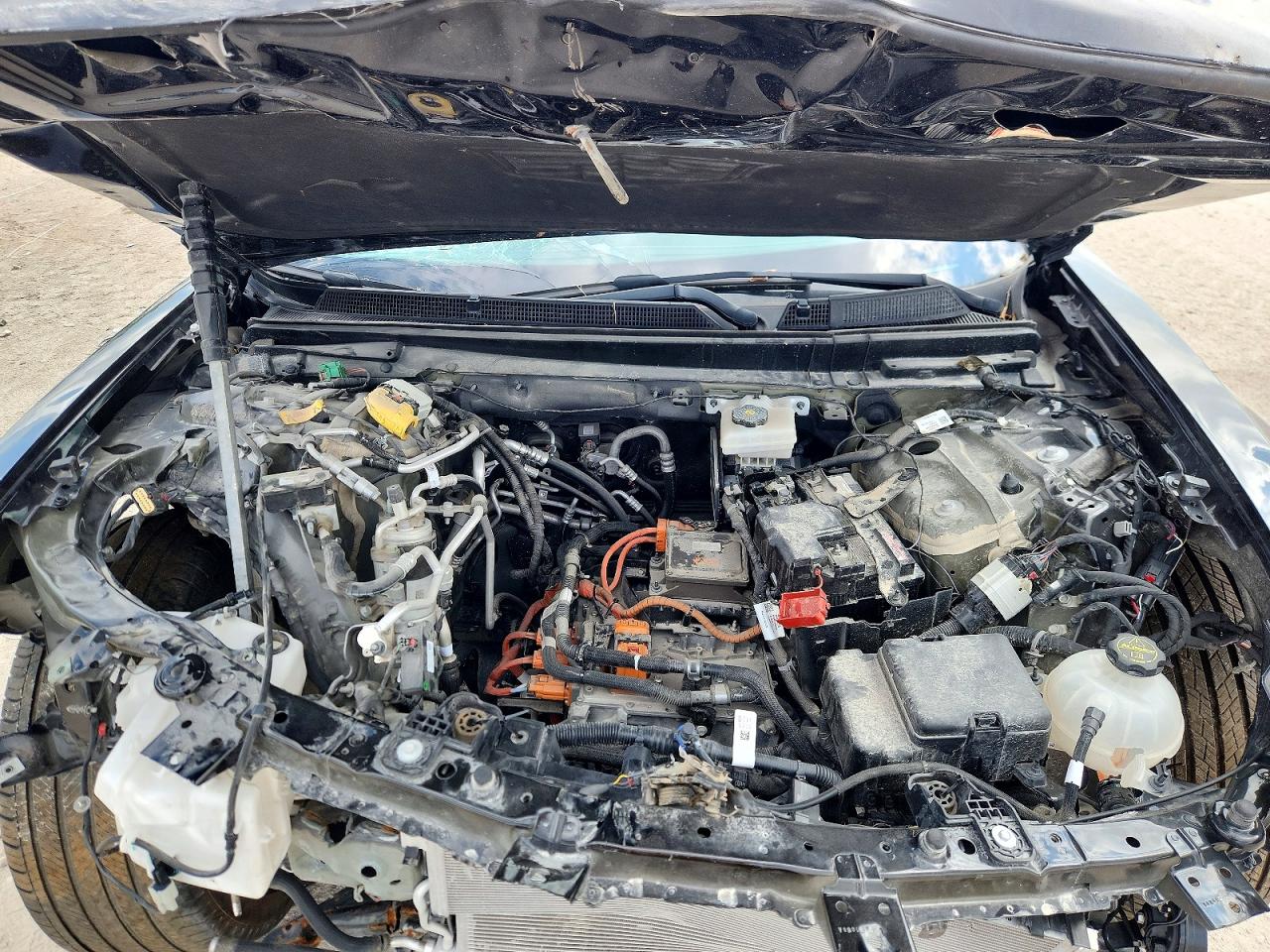 2024 Cadillac All other VIN 1GYKPWRK6RZ117404 photo 11