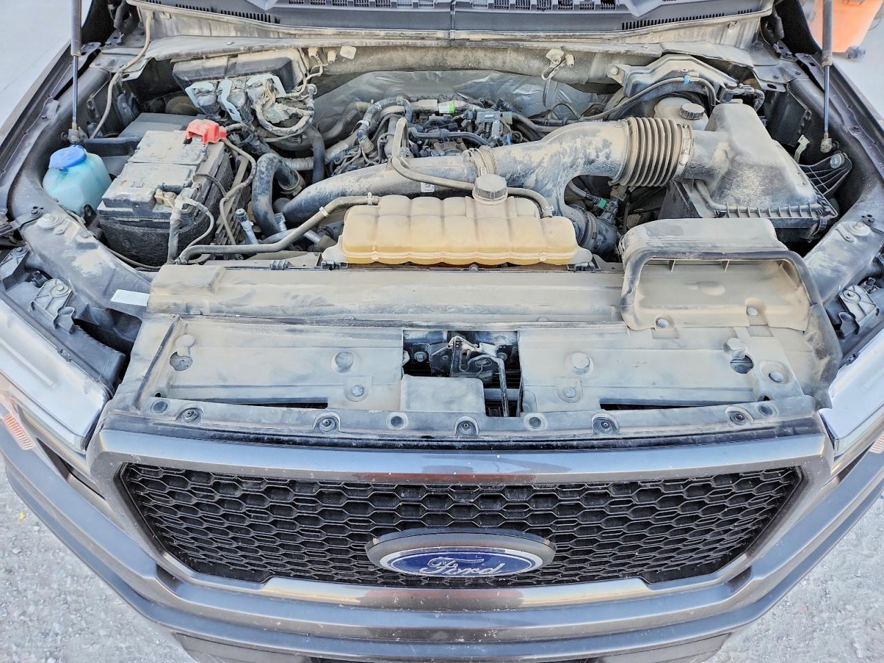 2020 Ford F150 VIN 1FTEW1EP4LKE72517 photo 11