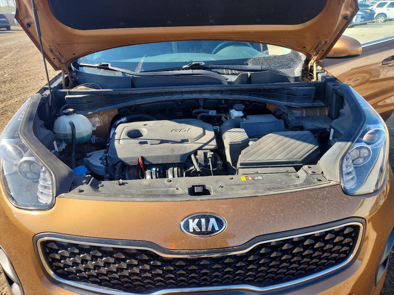 2019 Kia Sportage VIN KNDPM3AC4K7595927 photo 12