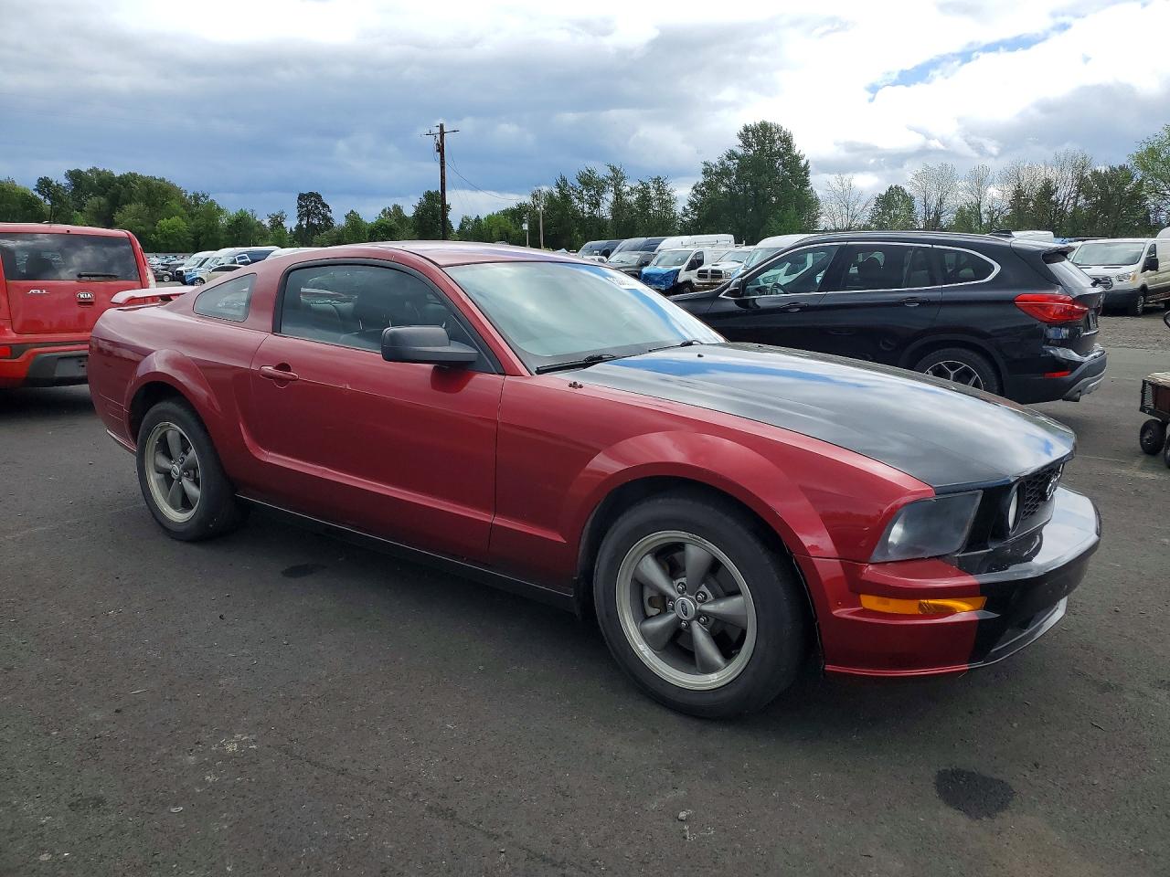 2005 Ford Mustang VIN 1ZVFT82HX55241235 photo 4