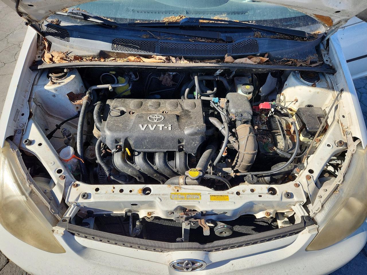 2003 Toyota Echo VIN JTDAT123X30277591 photo 11