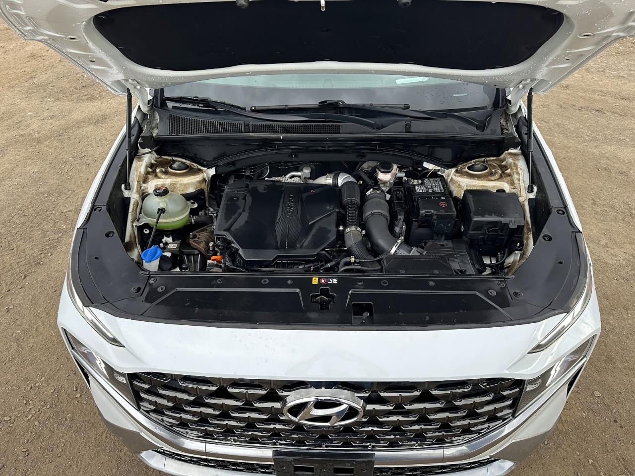 2021 Hyundai Santa fe VIN 5NMS5DAL7MH343792 photo 5
