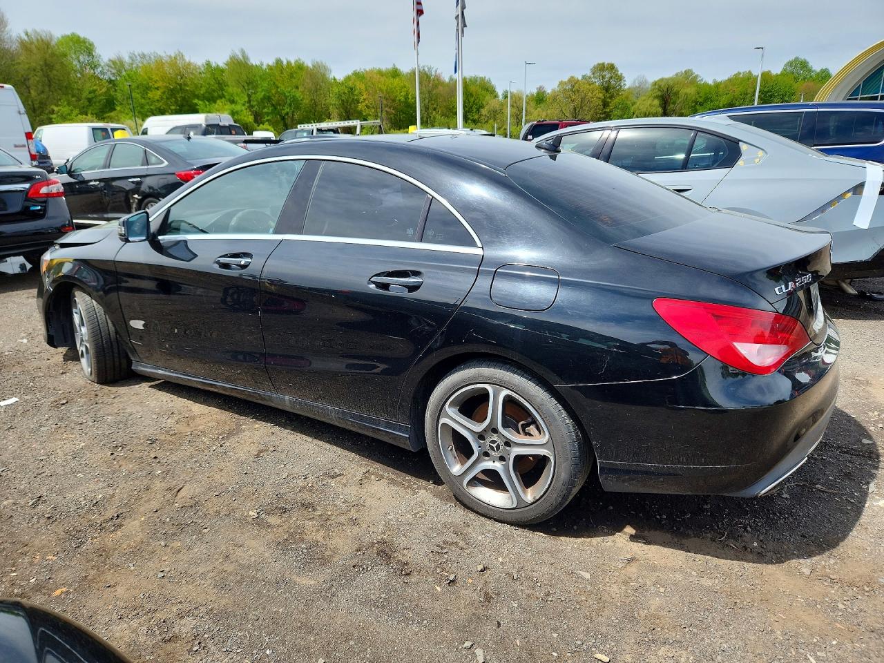 2019 Mercedes-Benz Cla-class VIN WDDSJ4GBXKN764843 photo 2