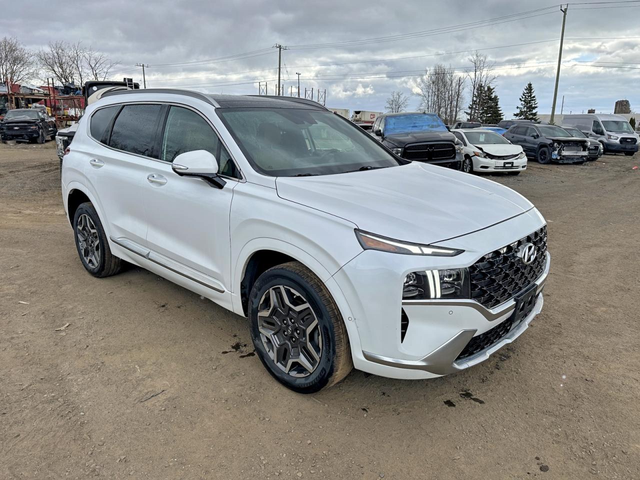 2021 Hyundai Santa fe VIN 5NMS5DAL7MH343792 photo 1
