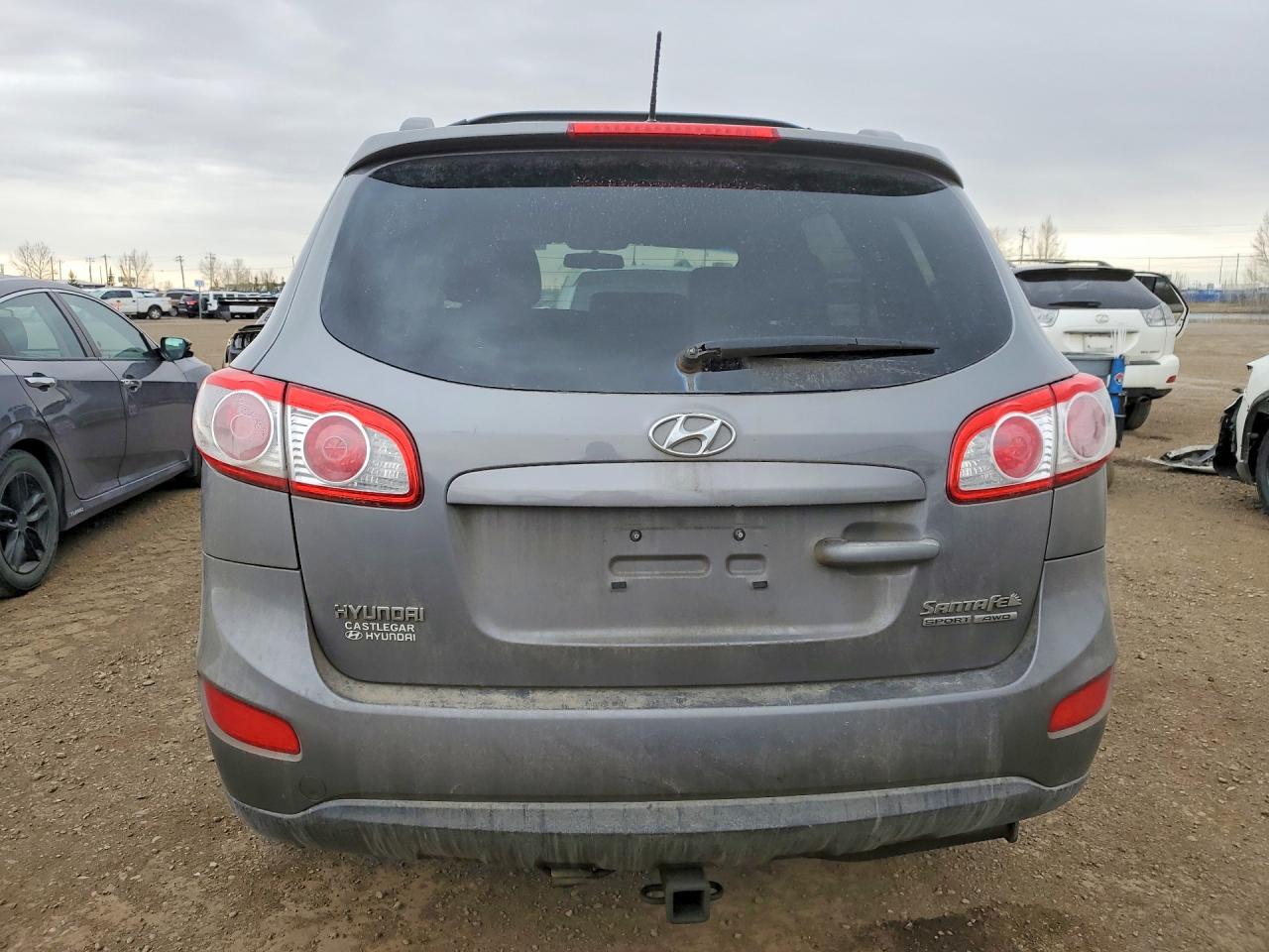 2010 Hyundai Santa fe VIN 5NMSGDAG6AH365811 photo 6