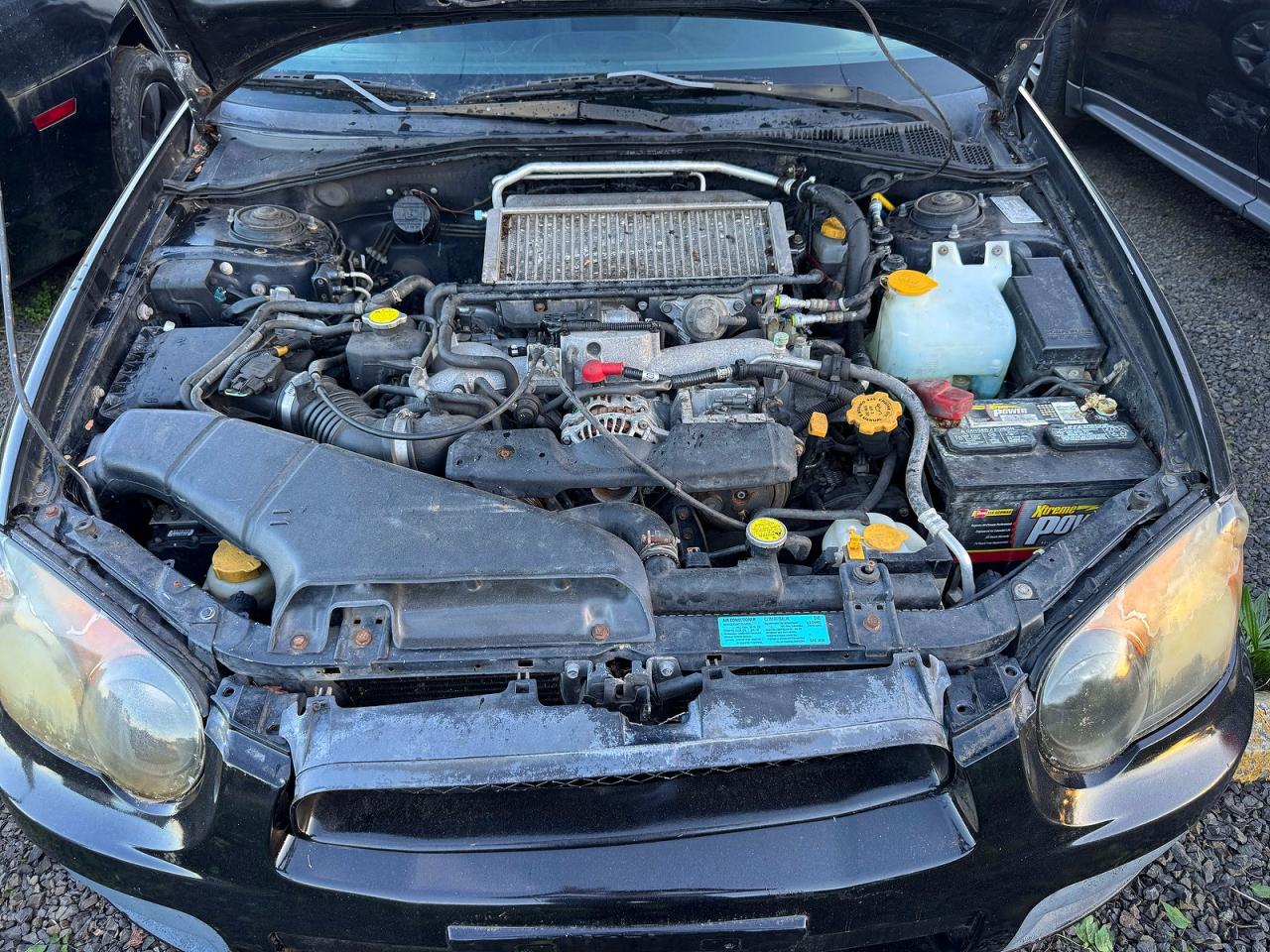 2005 Subaru Wrx VIN JF1GG296X5H807704 photo 7