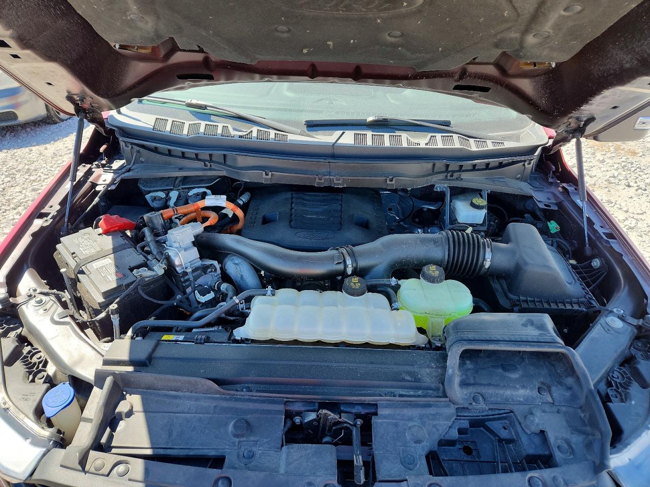 2023 Ford F150 VIN 1FTFW1ED0PFC22250 photo 11