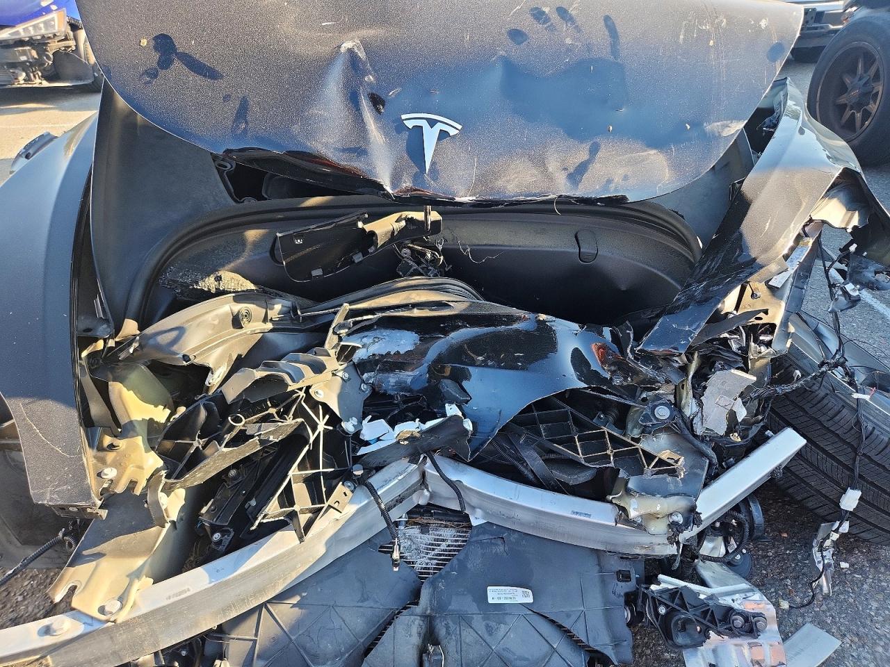 2019 Model 3 VIN 5YJ3E1EB8KF391577 photo 11