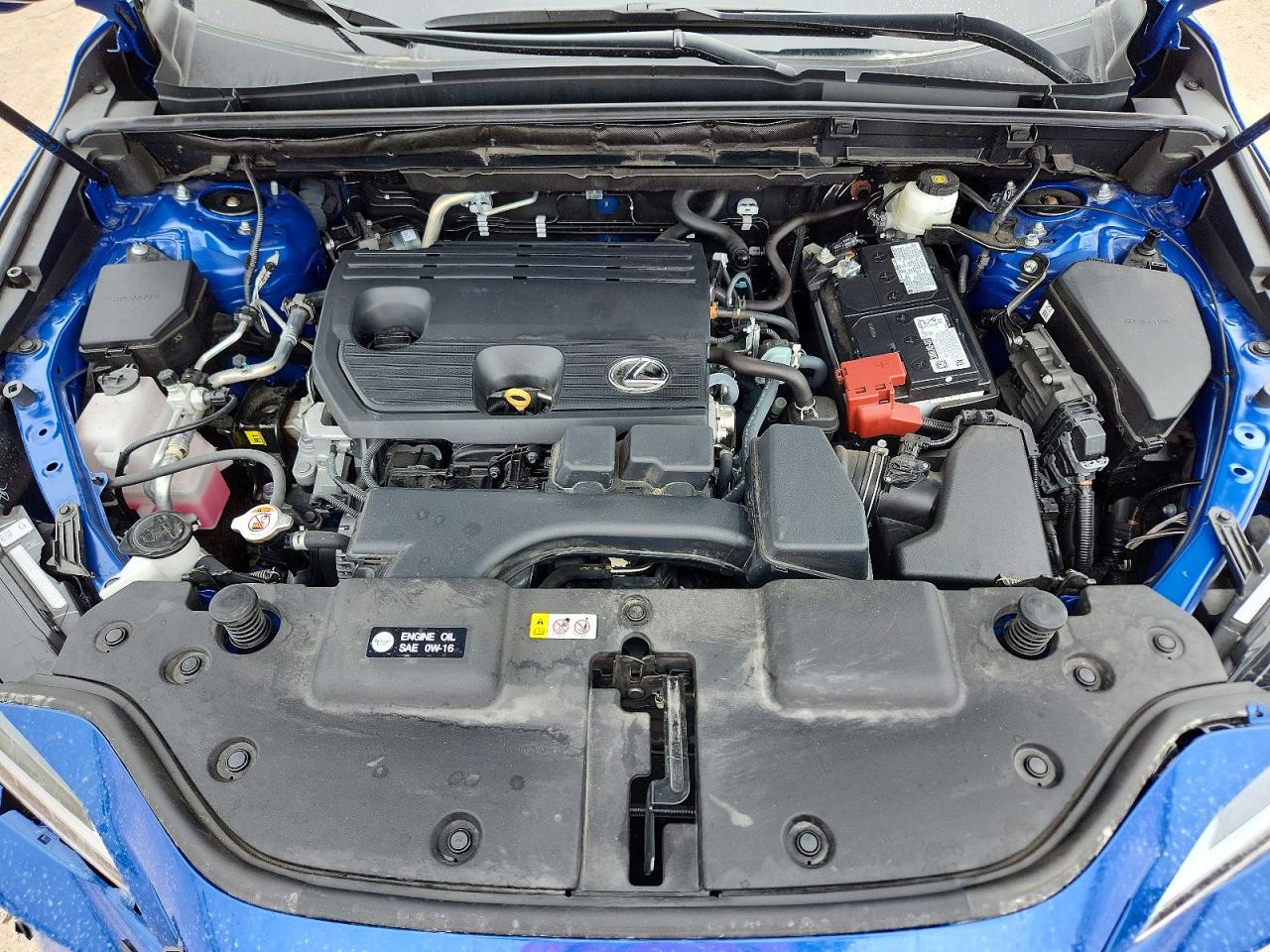 2025 Lexus Nx VIN 2T2ADCAZ9SC017570 photo 12