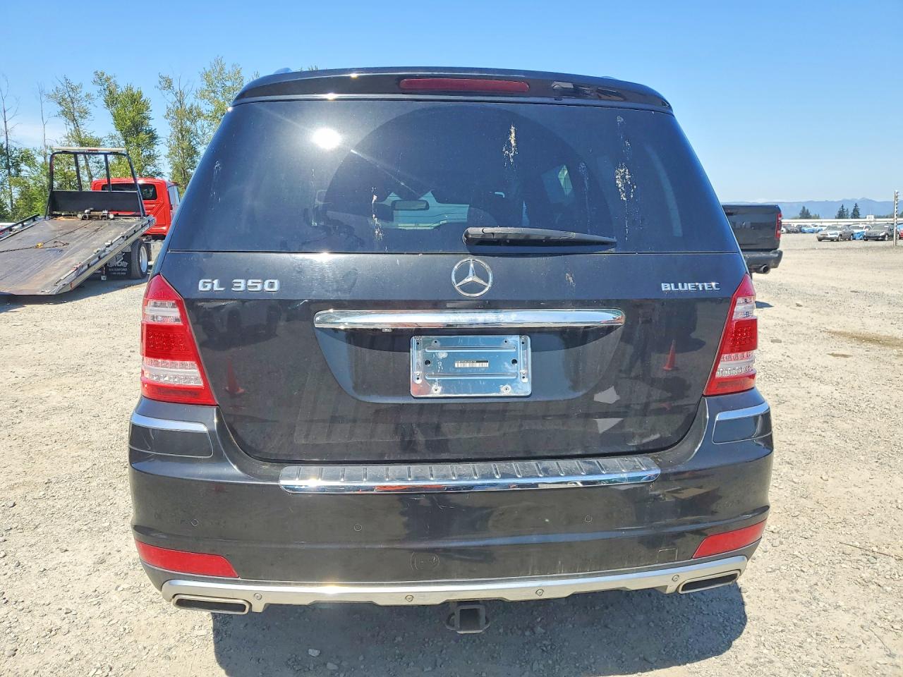 2010 Mercedes-Benz Gl-class VIN 4JGBF2FE8AA548728 photo 6