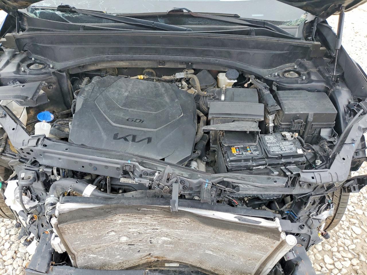 2023 Kia Telluride VIN 5XYP5DGC6PG365312 photo 12