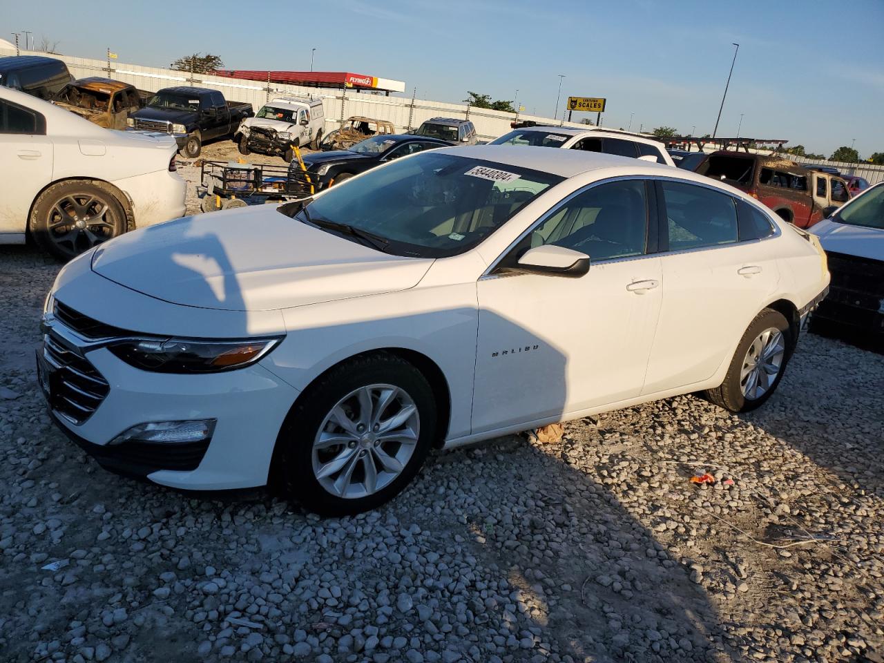 2021 CHEVROLET Malibu VIN 1G1ZD5ST8MF034067 photo 1