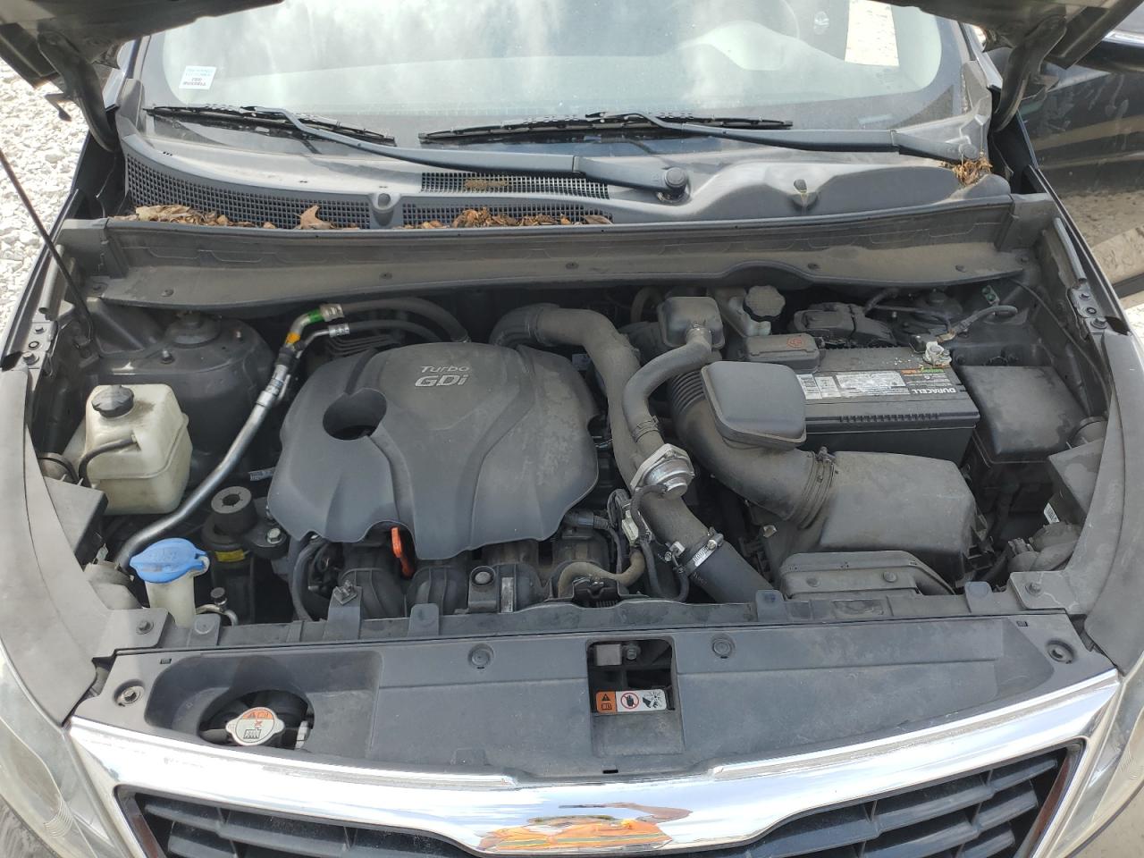 2014 KIA Sportage VIN KNDPC3A65E7619556 photo 11