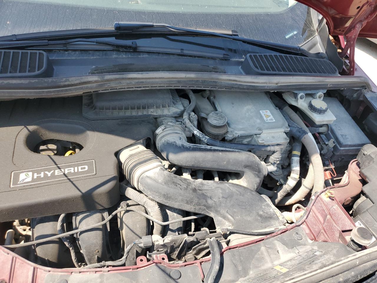 2014 Cmax VIN 1FADP5BU1EL507401 photo 12