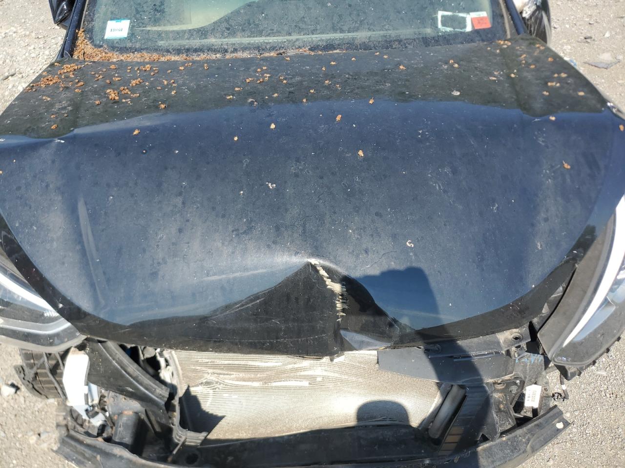 2018 HYUNDAI Santa fe VIN 5NMZUDLB3JH106220 photo 12
