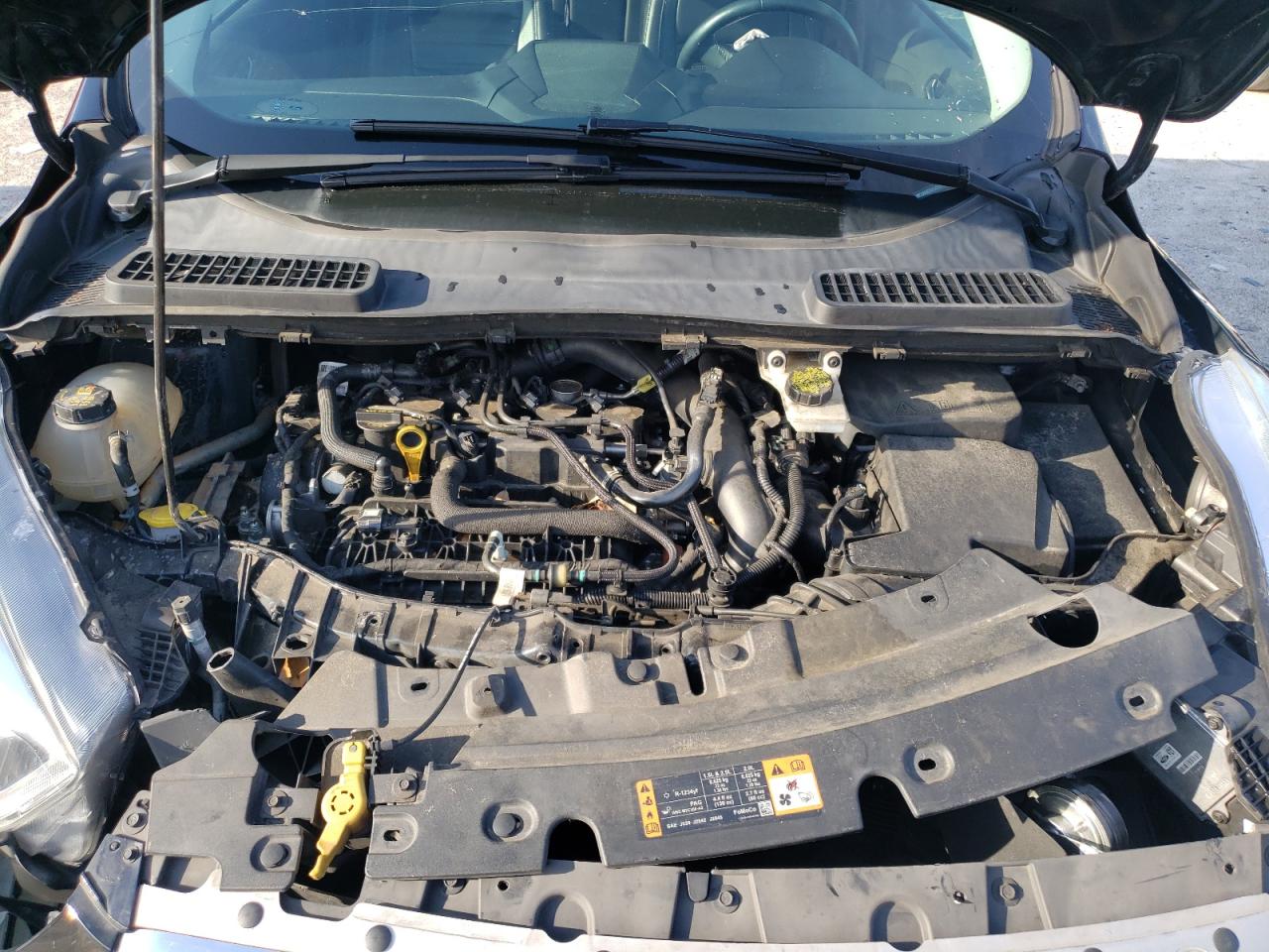 2019 FORD Escape VIN 1FMCU0HDXKUC09407 photo 12