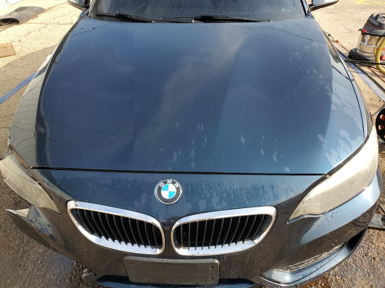 2015 BMW 2 series VIN WBA1F7C5XFVX95456 photo 11