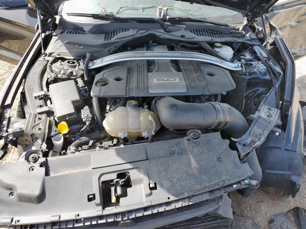 2019 Ford Mustang VIN 1FA6P8CF9K5128270 photo 11