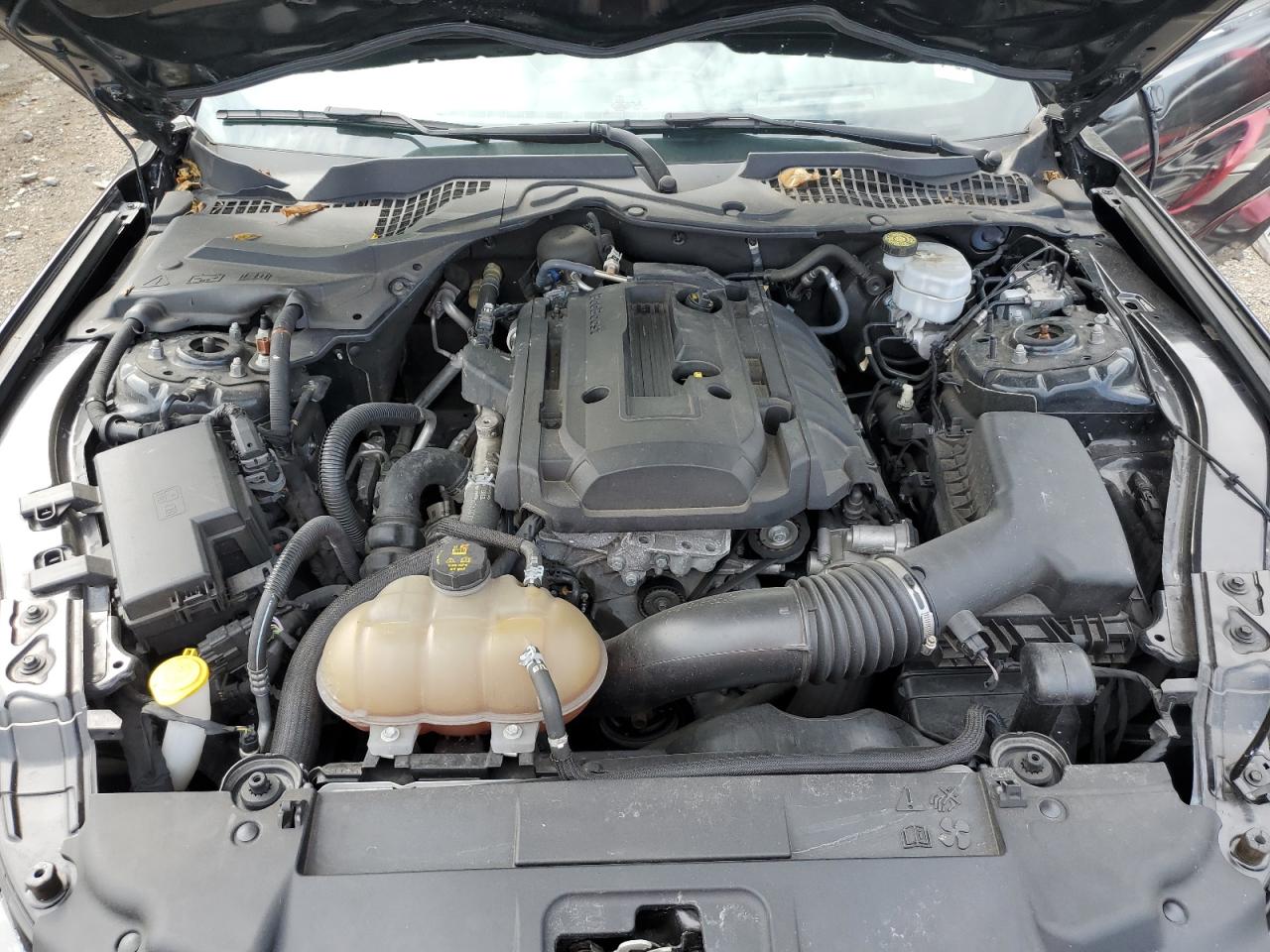 2019 FORD Mustang VIN 1FA6P8TH2K5180390 photo 11