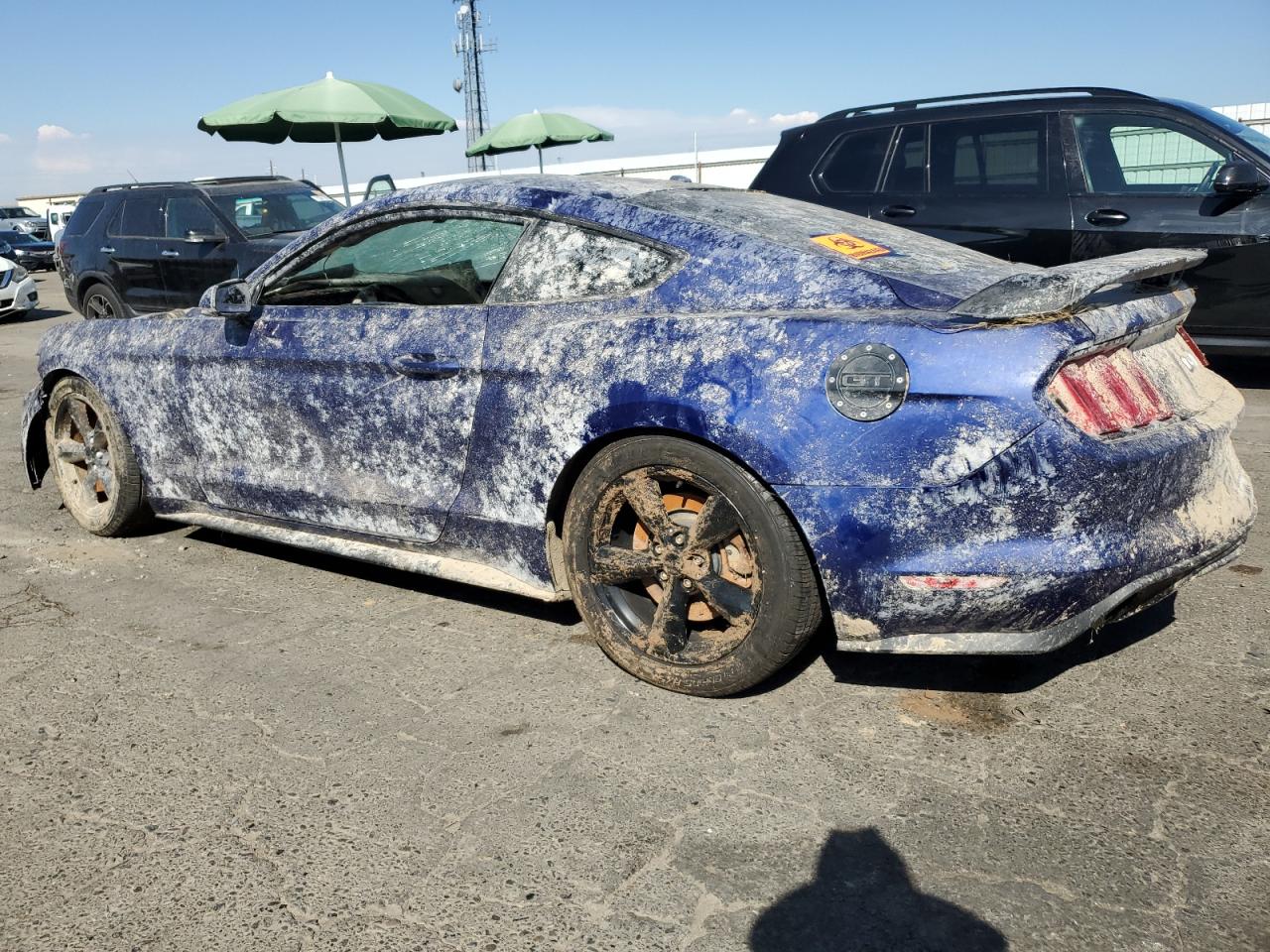 2016 Ford Mustang VIN 1FA6P8CF0G5269185 photo 2