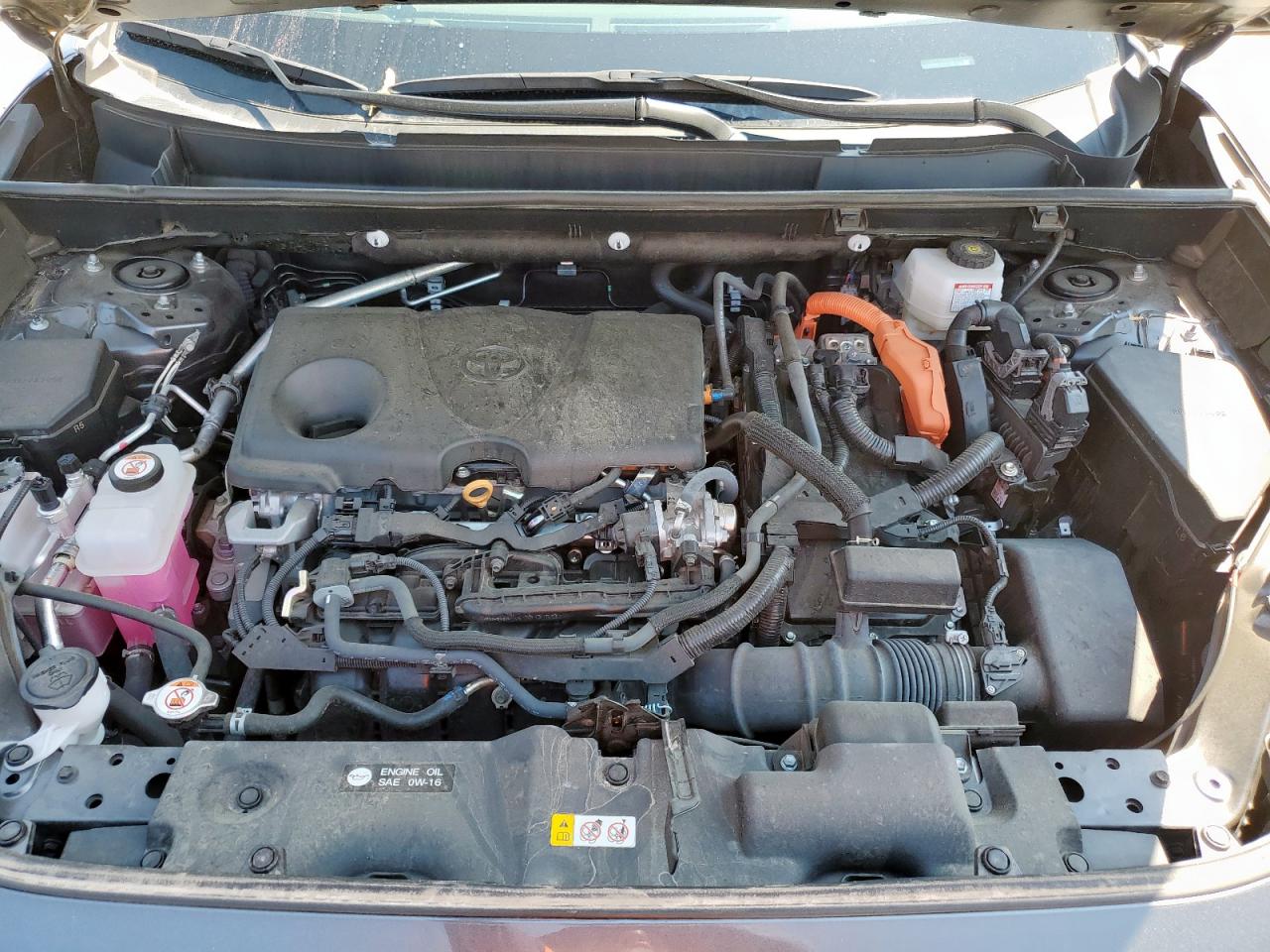 2023 Toyota Rav4 VIN 4T3RWRFV2PU107988 photo 12
