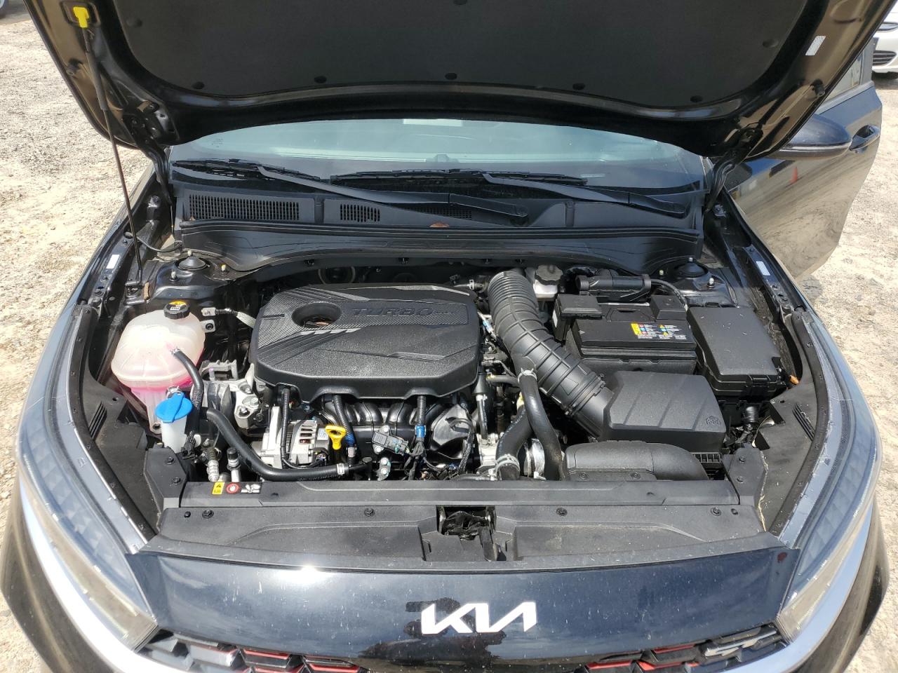 2024 Kia Forte VIN 3KPF44AC4RE753436 photo 11