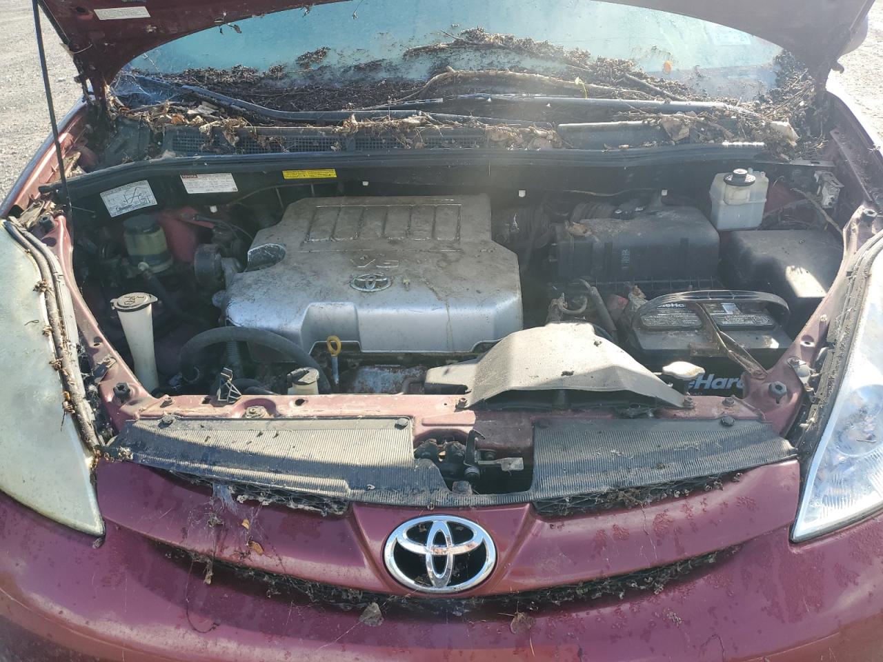 2010 Toyota All models VIN 5TDDK4CC1AS030664 photo 12