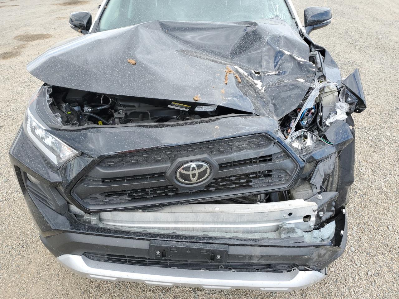 2019 Toyota Rav4 VIN 2T3J1RFV2KC027791 photo 12