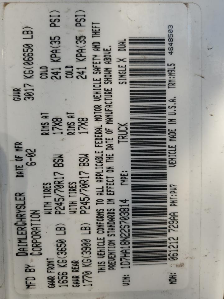 2002 Dodge Ram 1500 VIN 1D7HA18N22S703814 photo 12