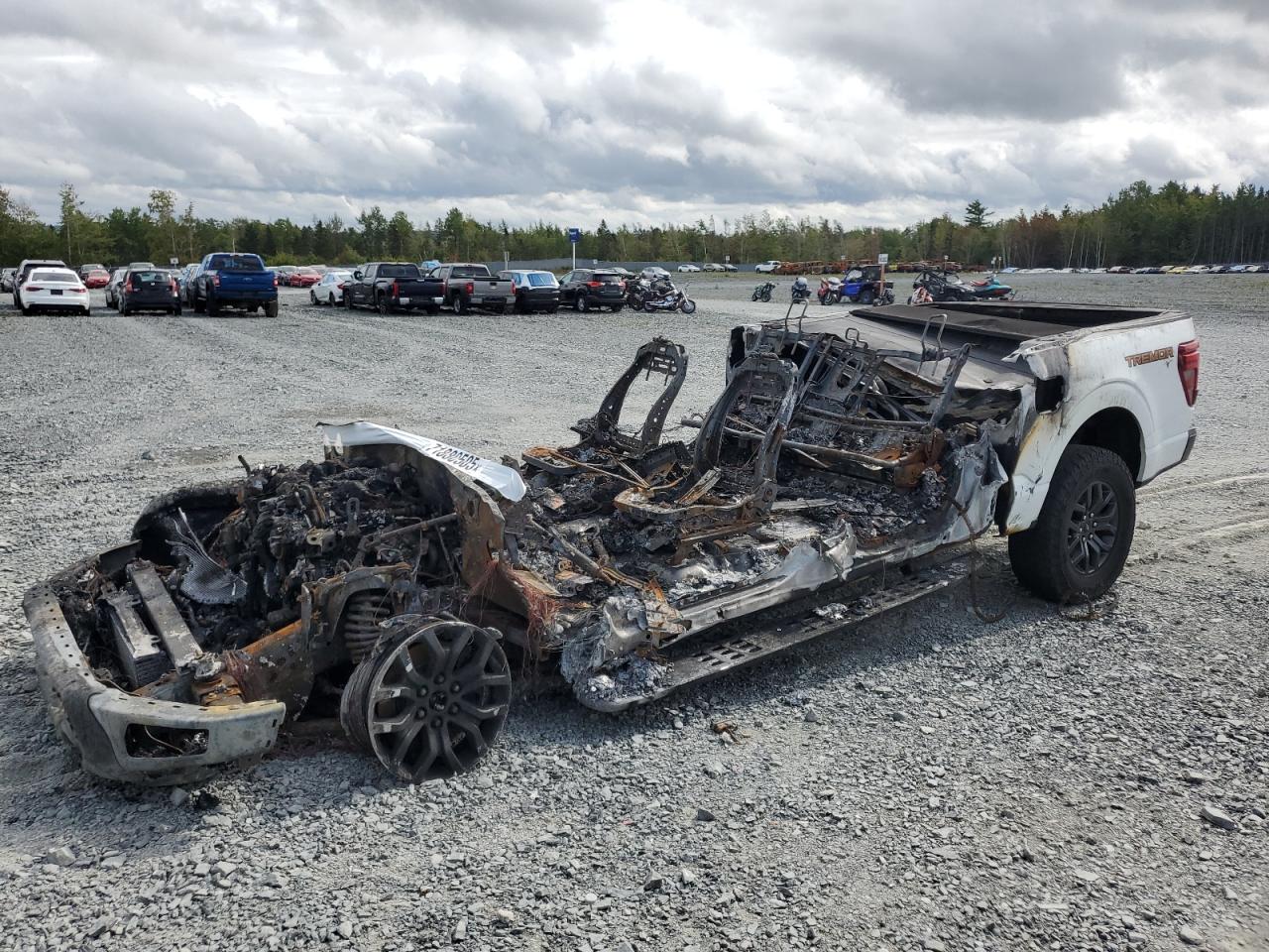 2024 FORD F150 tremo VIN 1FTFW4L81RFA78007 photo 1