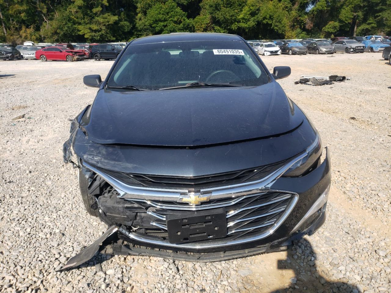 2019 Chevrolet Malibu VIN 1G1ZB5ST3KF193467 photo 5