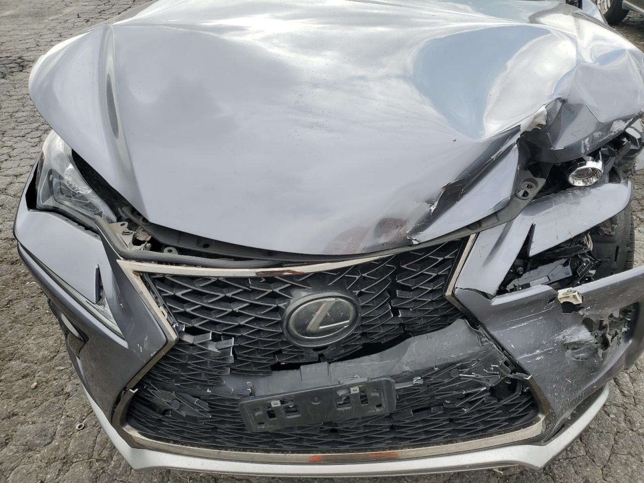 2018 Lexus Nx VIN JTJYARBZ6J2097062 photo 12