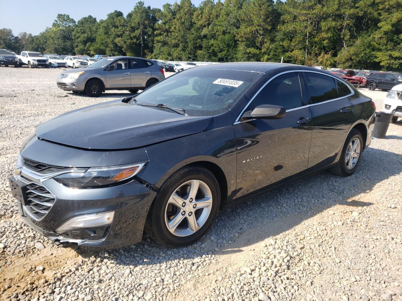 2019 Chevrolet Malibu VIN 1G1ZB5ST3KF193467 photo 1