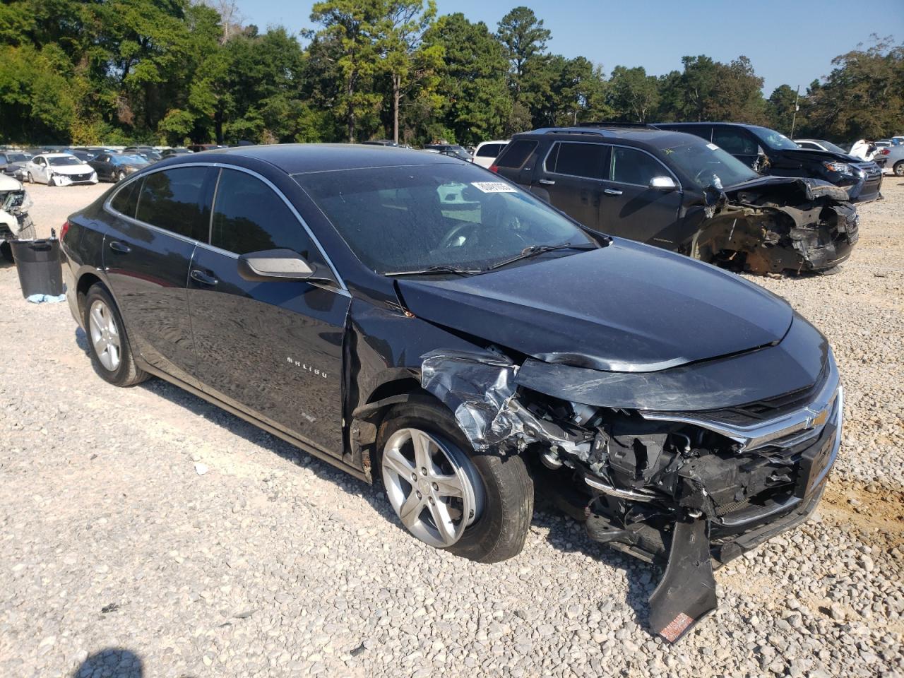 2019 Chevrolet Malibu VIN 1G1ZB5ST3KF193467 photo 4