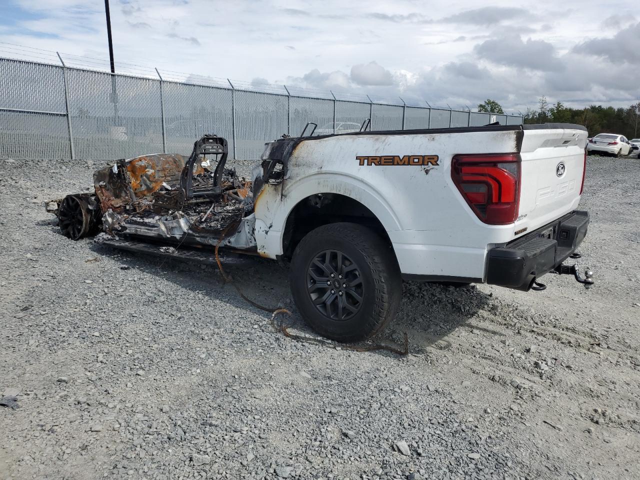 2024 FORD F150 tremo VIN 1FTFW4L81RFA78007 photo 2