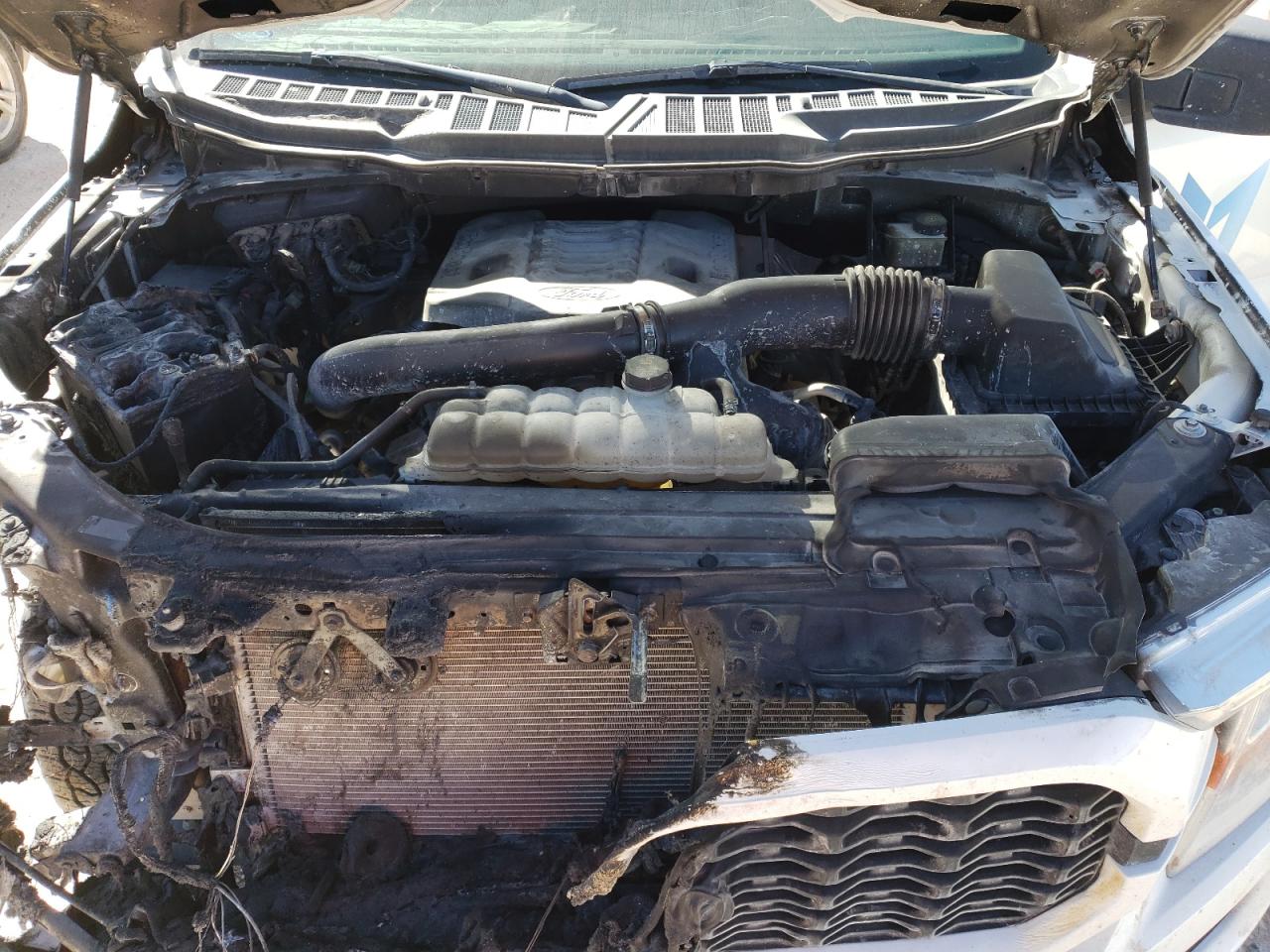 2022 FORD F-150 VIN 1FTFW1E84NKE27187 photo 11