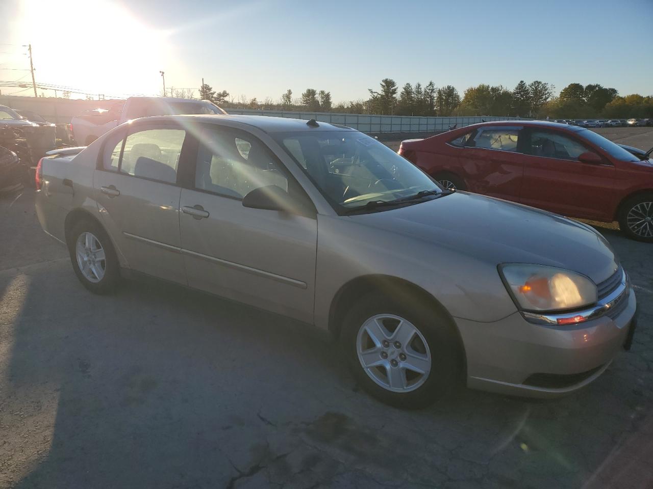 2004 Chevrolet Malibu VIN 1G1ZT548X4F140354 photo 4