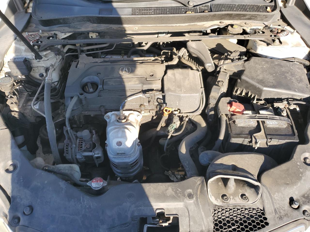 2015 Acura Tlx VIN 19UUB1F3XFA012924 photo 11
