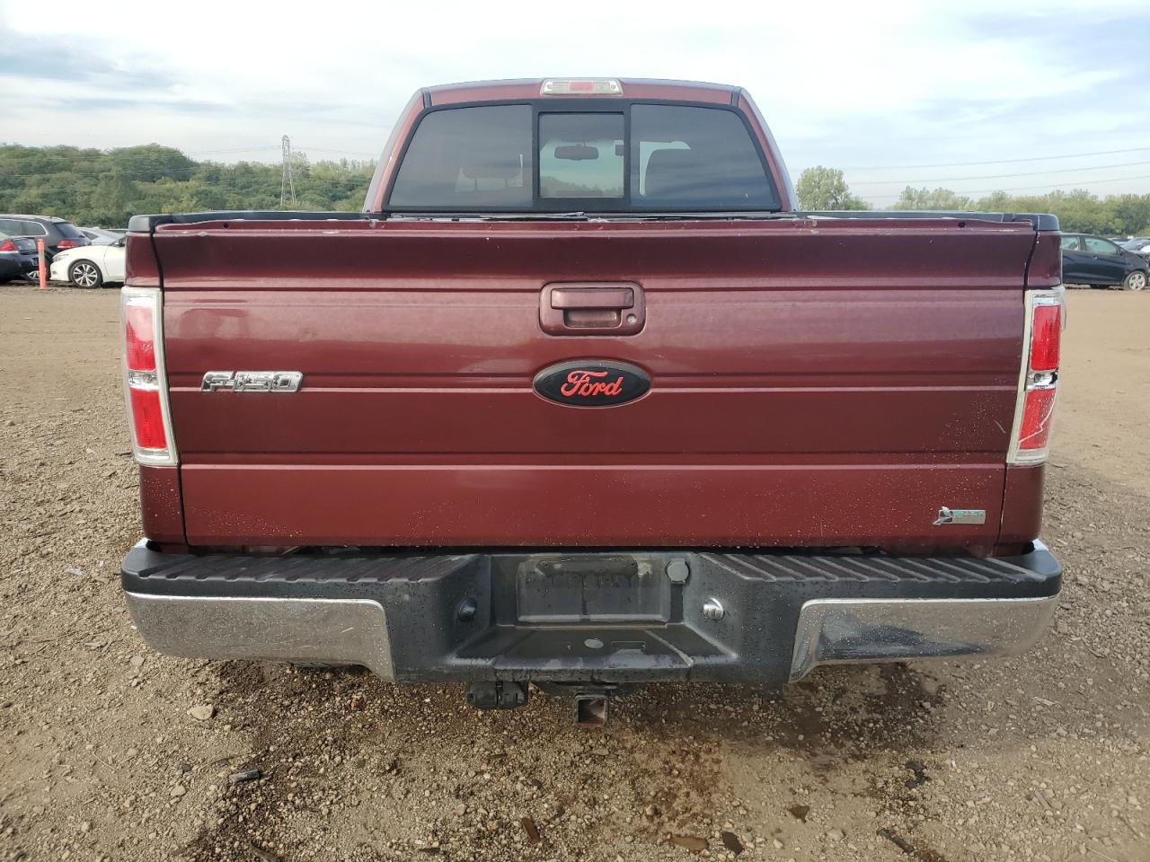 2010 Ford F150 VIN 1FTFX1EV0AFB65464 photo 6