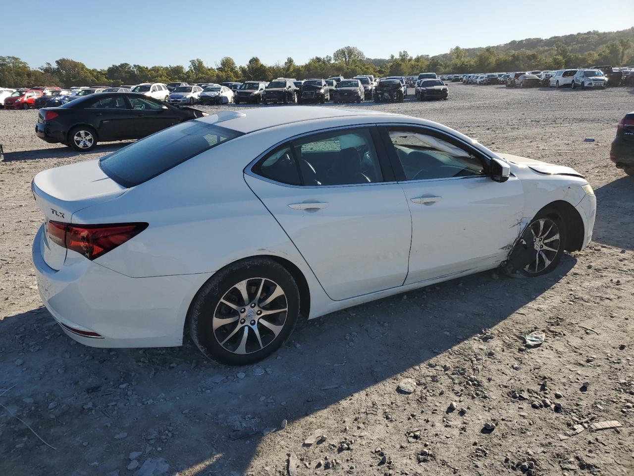 2015 Acura Tlx VIN 19UUB1F3XFA012924 photo 3