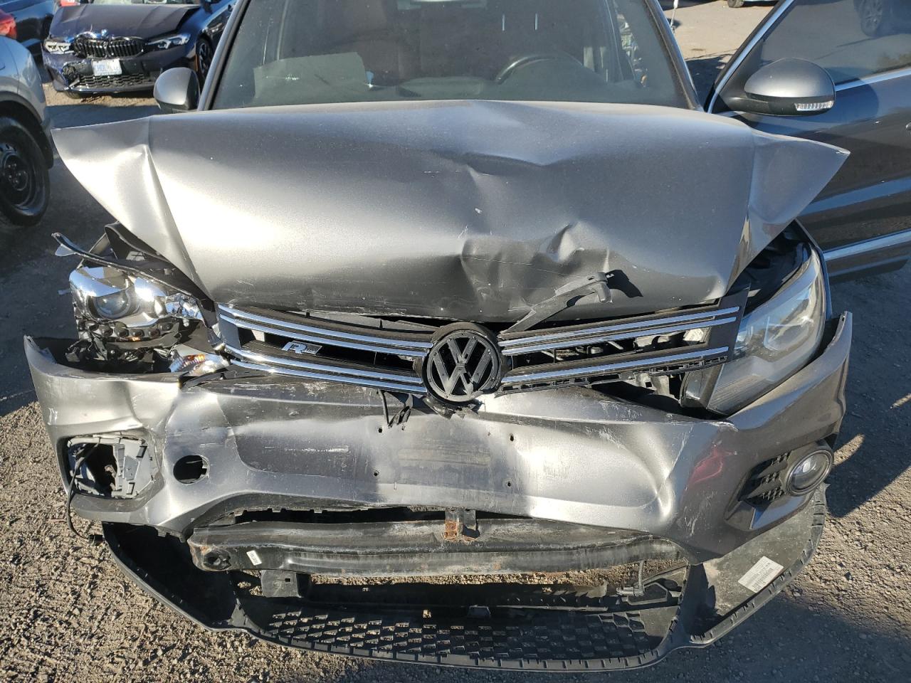 2014 VOLKSWAGEN Tiguan VIN WVGJV3AX0EW026391 photo 12