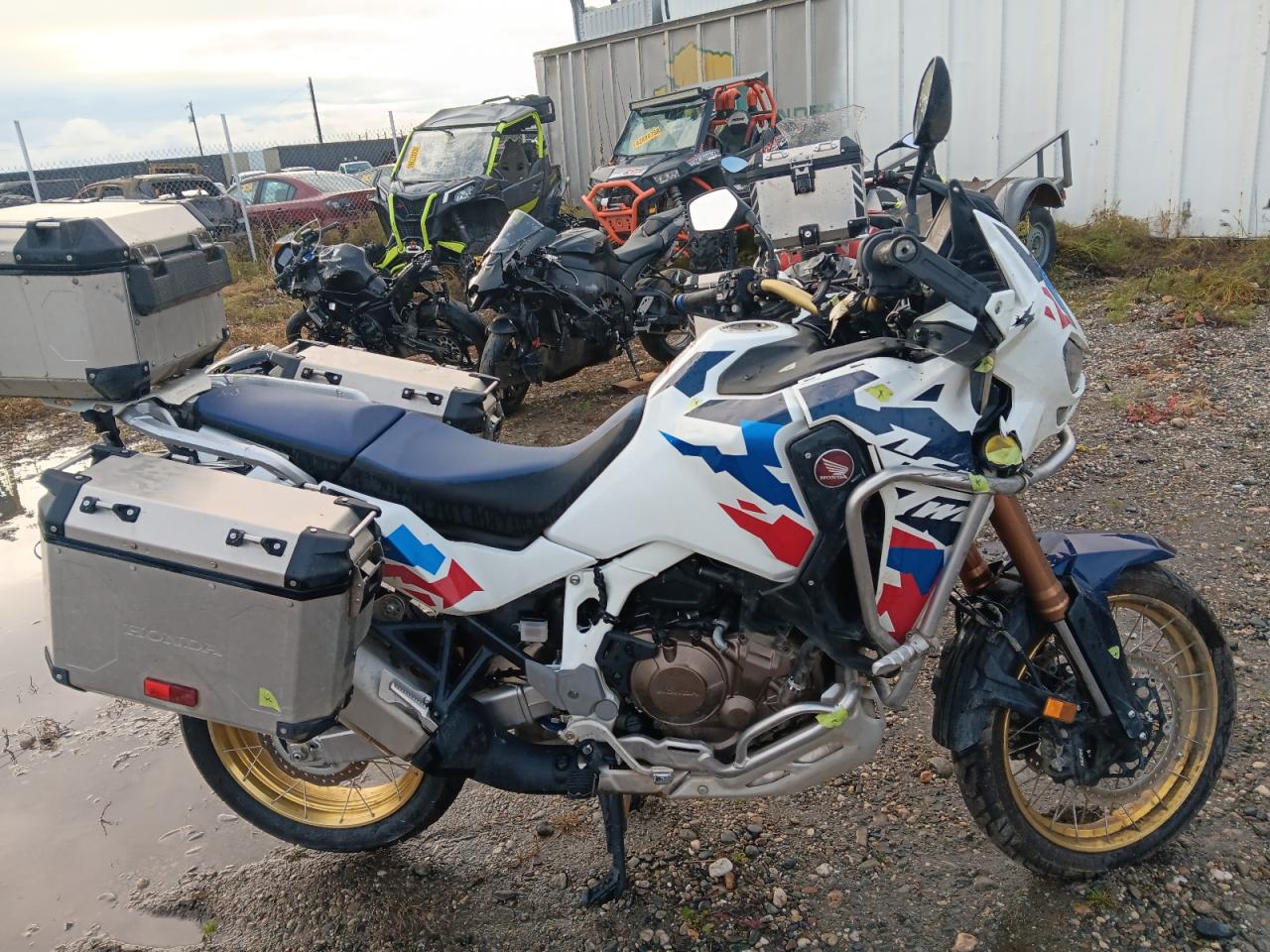 2024 Honda Crf cycle VIN JH2SD15B9RK000312 photo 1