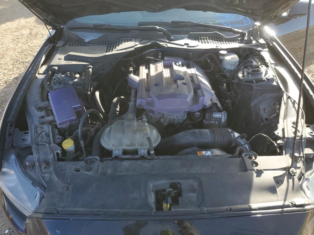 2016 Ford All models VIN 1FA6P8TH4G5303372 photo 11
