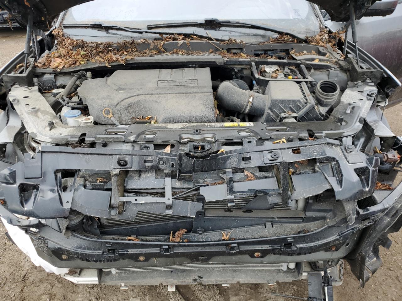 2018 Jaguar Etype VIN SADFM2GX6J1Z17442 photo 12