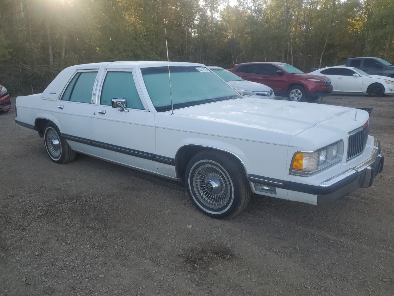 1991 Mercury Grmarquis VIN 2MECM75F7MX656161 photo 4