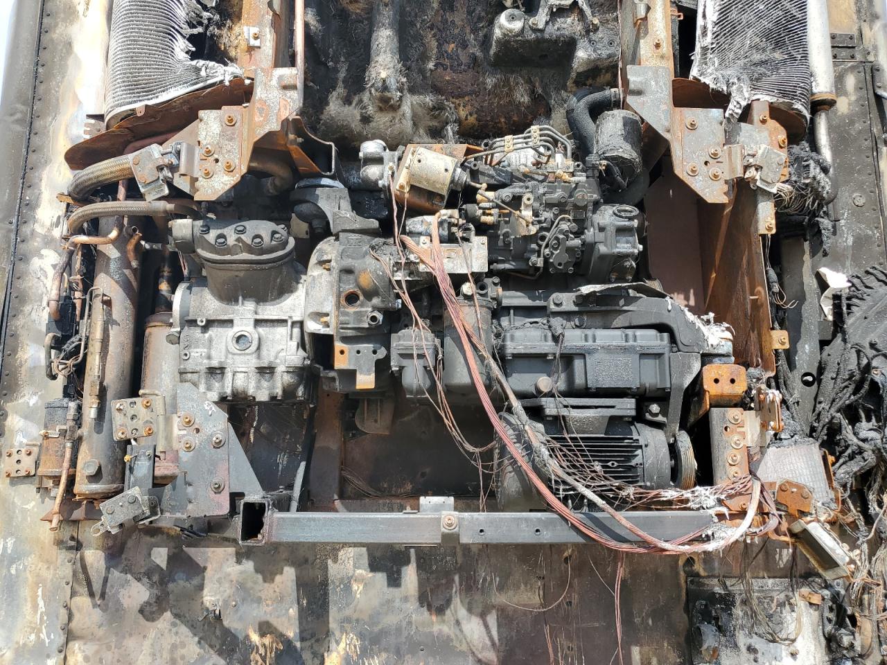 2021 UTILITY All models VIN 1UYVS2537M6988607 photo 7